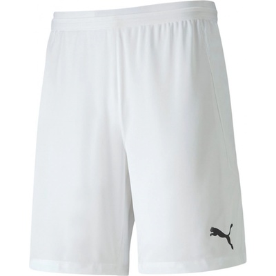 Puma teamFINAL 21 knit Shorts