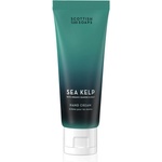 The Scottish Fine Soaps Company Sea Kelp крем за ръце 75ml
