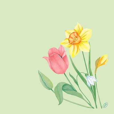DUNI Servítka bio dsf spring melody 40x40cm