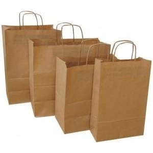 NC Koperty NC Envelopes PAPER BAGS 240 X 100 X 320 MM ECOBAG BROWN 1 PC