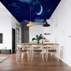 Art Gift Decor Фототапет за таван Нощно небе
