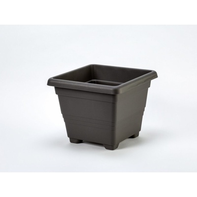Plastia Begonia 25x25 cm antracit