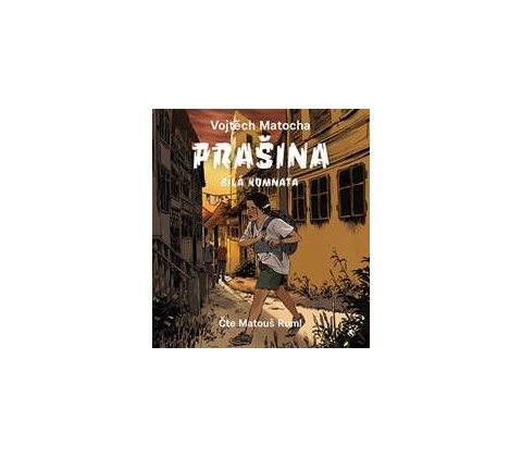 Prašina