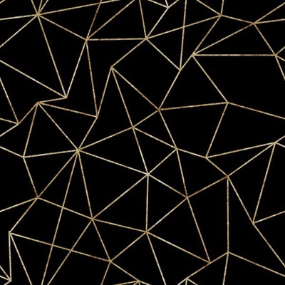 Šuštiakovina so záterom geometrický vzor - Nola