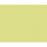 A. S. Création Влизелинов тапет за стена meistervlies 3095-56