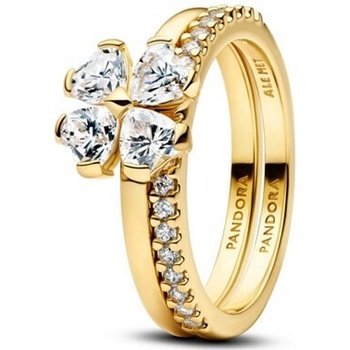 Pandora 164507C01