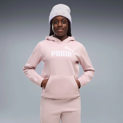 Puma Ess No.1 Logo Hoodie FL G 684896