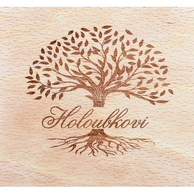 FOTOKNIHA „STROM“