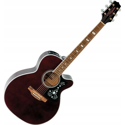 Takamine GN75CE