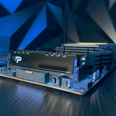 Patriot SIGNATURE PREMIUM DDR5 24GB 5600MHz PSP524G560081H1