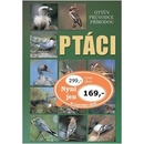 Ptáci