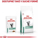 Krmivo pro kočky Royal Canin Veterinary Diet Cat Diabetic 12 x 85 g