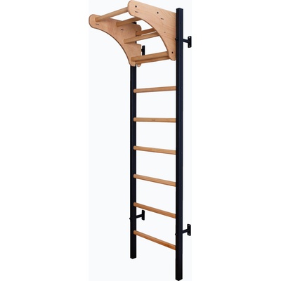 BenchK Гимнастическа стълба BenchK черна BK-211B