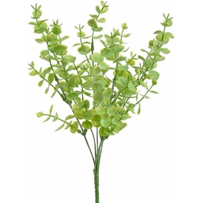 Eukalyptus mini trs 30 cm - zelená světlá