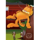 Garfield Show - 8. DVD