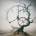 Sarke - Endo Feight CD