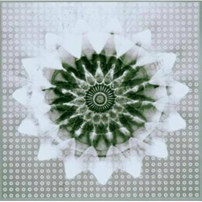 Jon Hassell vs 808 State - Voiceprint CD