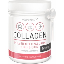 Woldo Health Collagen With Hyaluron And Biotin Kolagen s kyselinou hyaluronovou 500 g