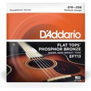 D'addario EFT13