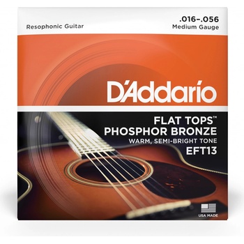 D'addario EFT13