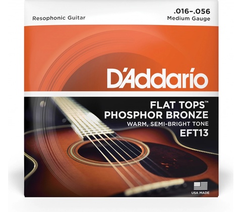 D'addario EFT13