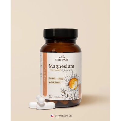 Herbs Energy Magnesium Hořčík Ranní 2 x 60 kapslí