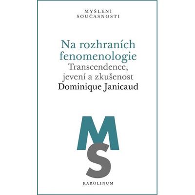 Na rozhraních fenomenologie - Transcendence, jevení a zkušenost