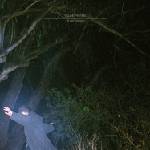 Young Prisms - In Between (Reissue) (Lite Blue Translucent Coloured) (LP) (0827175028918)