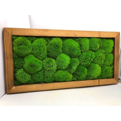 Machový obraz 40x20cm Čistý