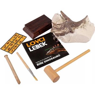 Albi Lovci lebek Stegosaurus