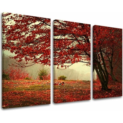 Obraz na stenu STROMY - 90x60 cm