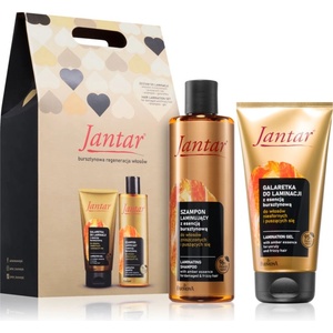 Farmona Natural Cosmetics Laboratory Jantar Set подаръчен комплект за увредена коса