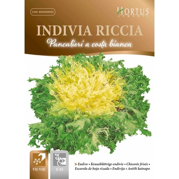Image 1 of Hortus Ендивия Къдрава