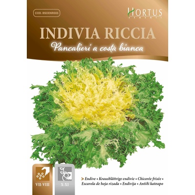 Hortus Ендивия Къдрава