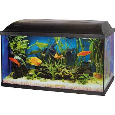 Akvárium set CAT-GATO Pacific 60 x 30 x 30 cm (54l) / pouze osobní odběr - popř. individuální domluva