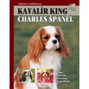 Kavalír King Charles Španěl