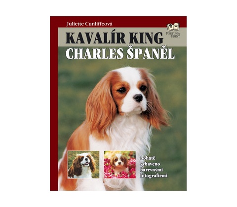 Kavalír King Charles Španěl