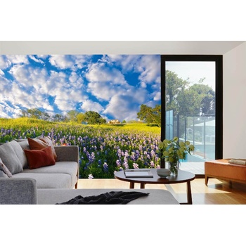 DIMEX ART s. r. o Самозалепваща се флизелинова фототапета синя бонета 375 x 250 см