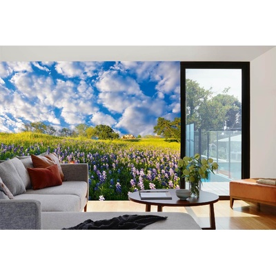DIMEX ART Самозалепваща се флизелинова фототапета синя бонета 375 x 250 см