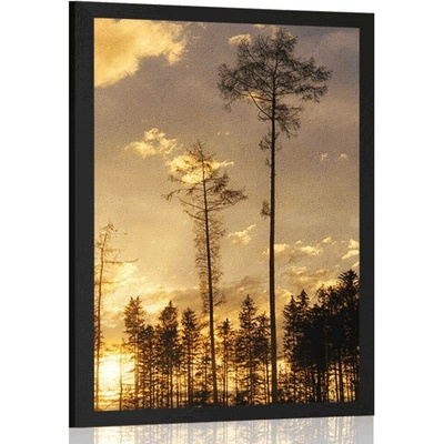 Plakát podvečer v lese - 20x30 white