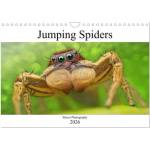 Calvendo Jumping Spiders (Wall Calendar 2026 DIN A4 landscape), CALVENDO 12 Month Wall Calendar | Calvendo, Alexander Mett Photography