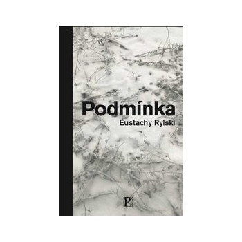 Podmínka