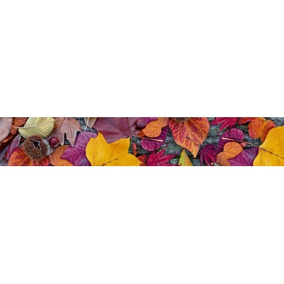 KI-350-047 Fototapeta do kuchyně Podzimní listí rozměry 350 x 60 cm