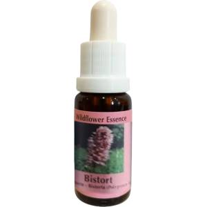 PHI Essences Подпомага концентрацията и фокуса - Есенция Кървавиче № 28, капки 15 ml (28 WILD)