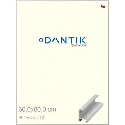 DANTIK rám na obraz 60 x 80 Stříbrná matná