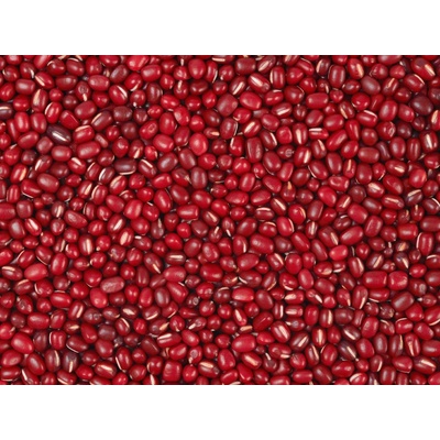 Les fruits du paradis Fazole Adzuki Bio 25 kg