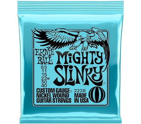Ernie Ball 2228
