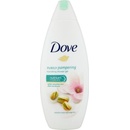 Dove Purely pampering Pistácie a magnólie sprchový gel 250 ml