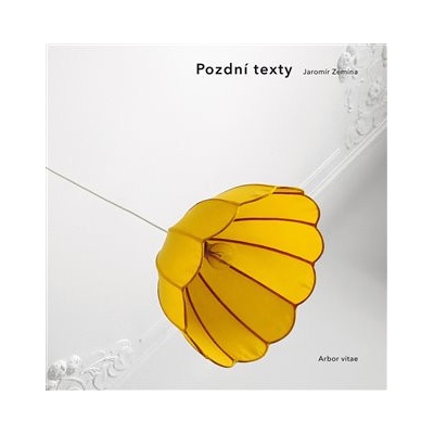 Pozdní texty