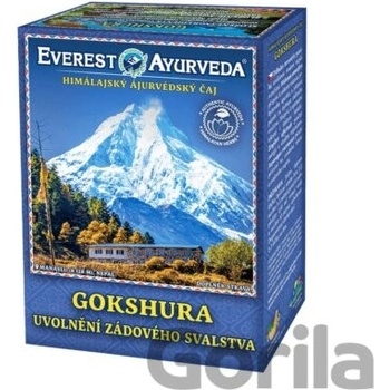 Everest Ayurveda GOKSHURA Bolesti chrbta a chrbtice čaj 100 g